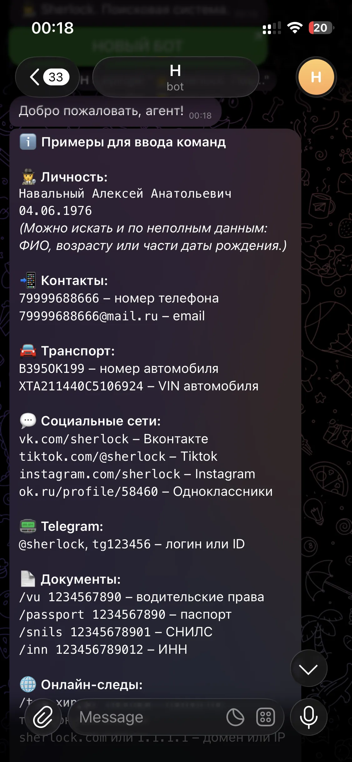 Интерфейс бота Sherlock: примеры команд для ввода